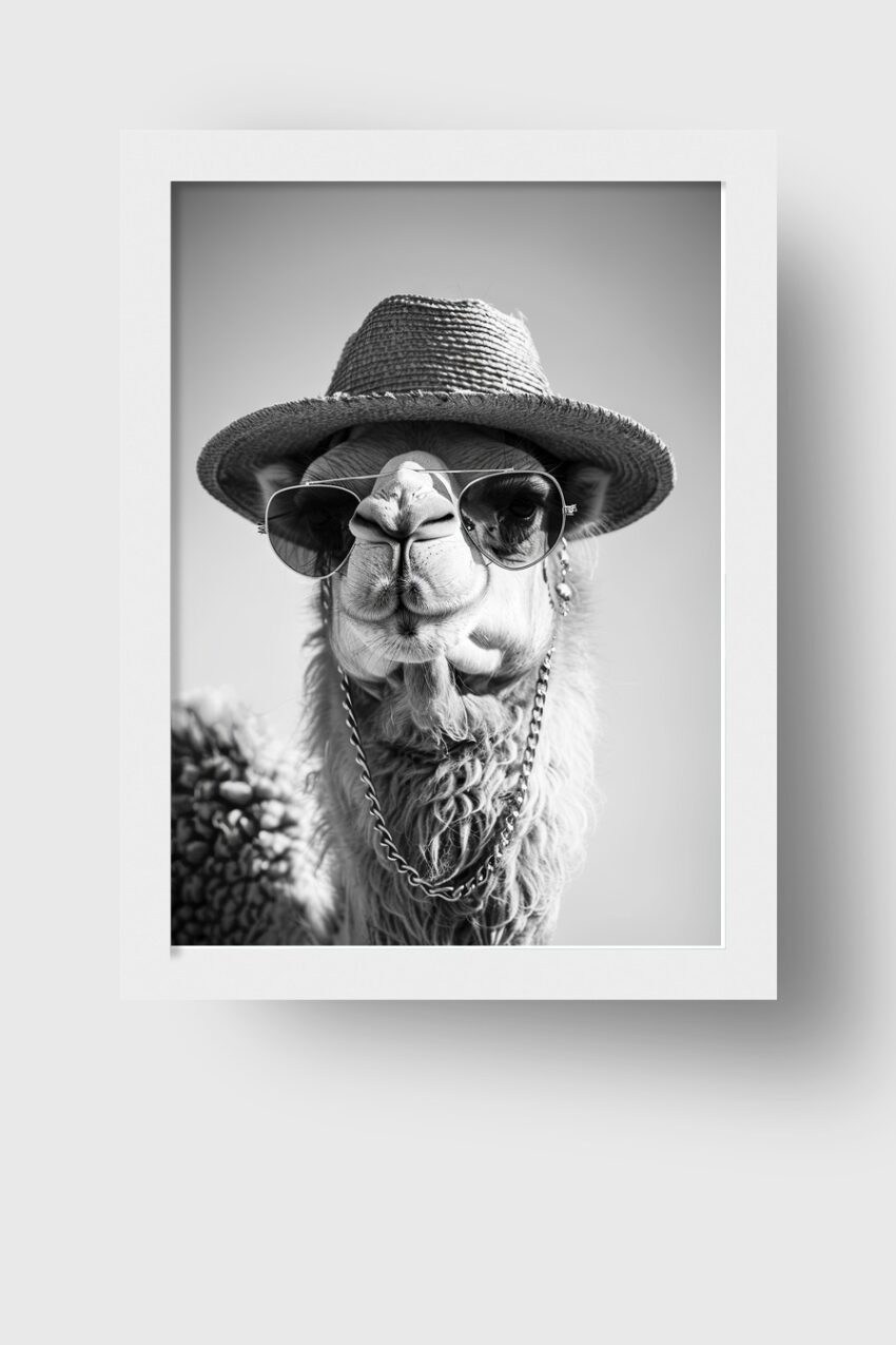 Schwarzweiß Poster mit Kamel in Sonnenbrille und Strohhut als humorvolles Tierportrait