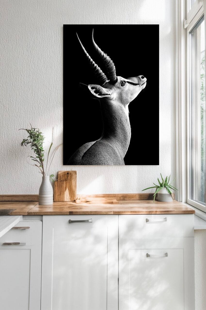 Schwarzweißer Kunstdruck einer Antilope im Profil vor schwarzem Hintergrund mit feinen Details und natürlicher Beleuchtung