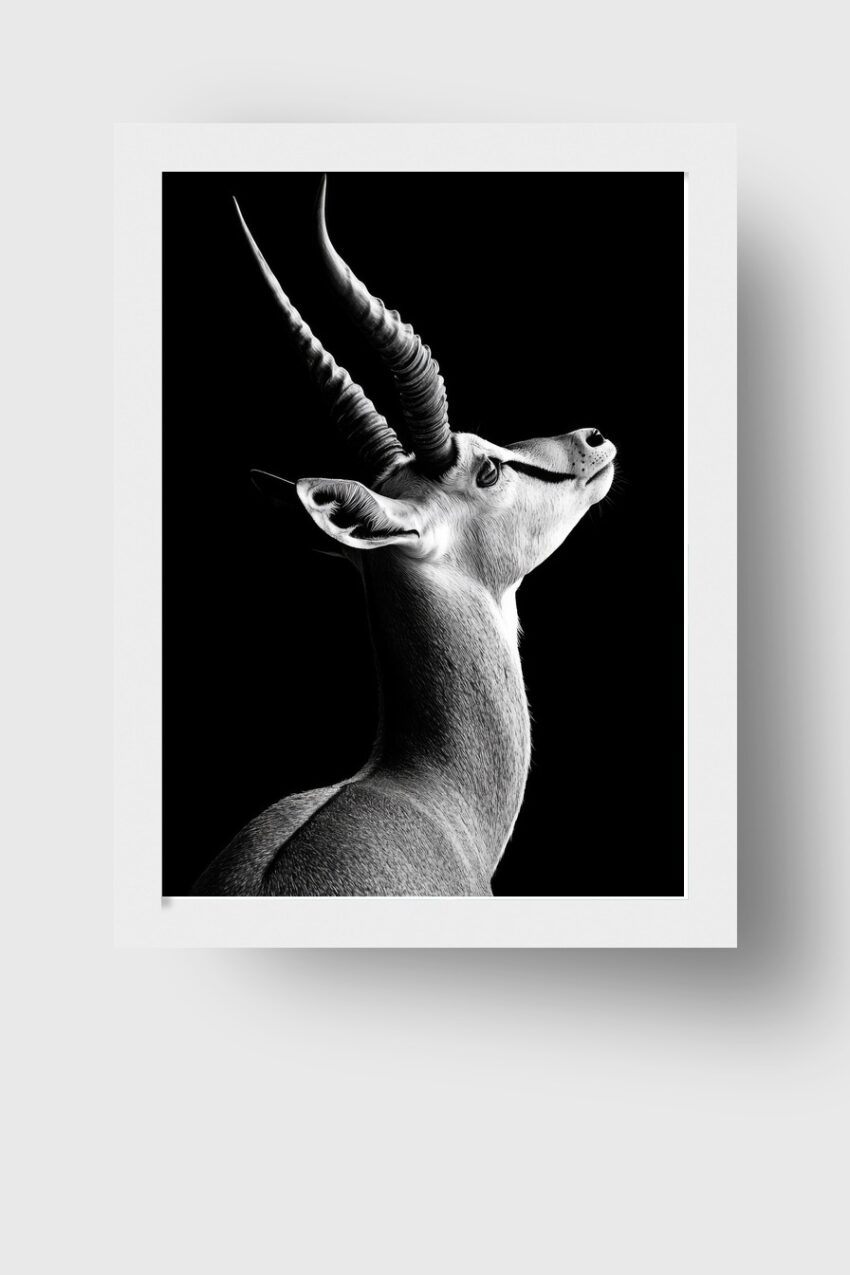 Schwarzweißer Kunstdruck einer Antilope im Profil vor schwarzem Hintergrund mit feinen Details und natürlicher Beleuchtung