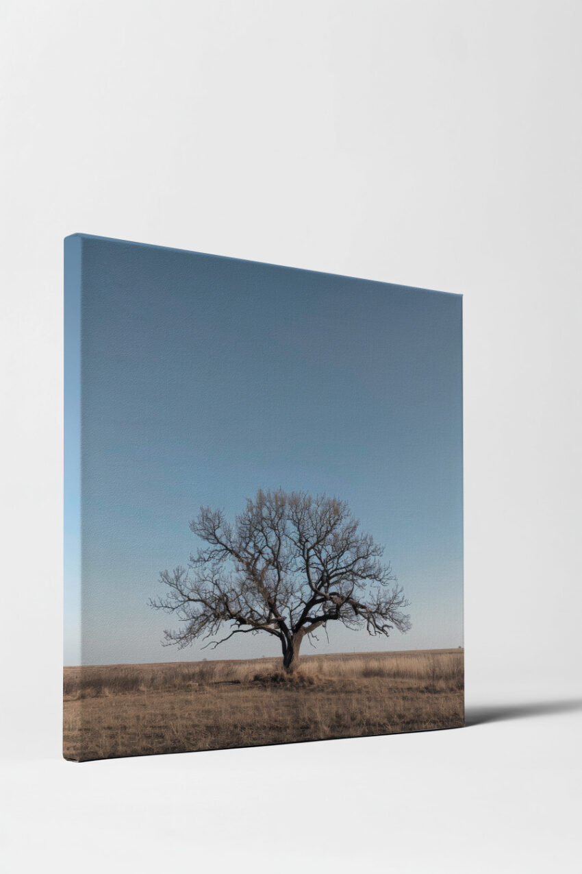 Poster mit kahlem Baum in offener Steppenlandschaft unter klarem blauem Himmel