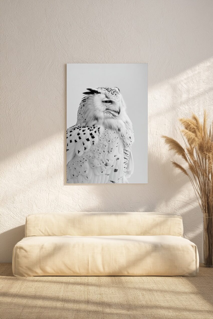Poster mit Nahaufnahme einer Schnee-Eule in Schwarz-Weiß mit detailliertem Gefieder und ruhigem Profil.