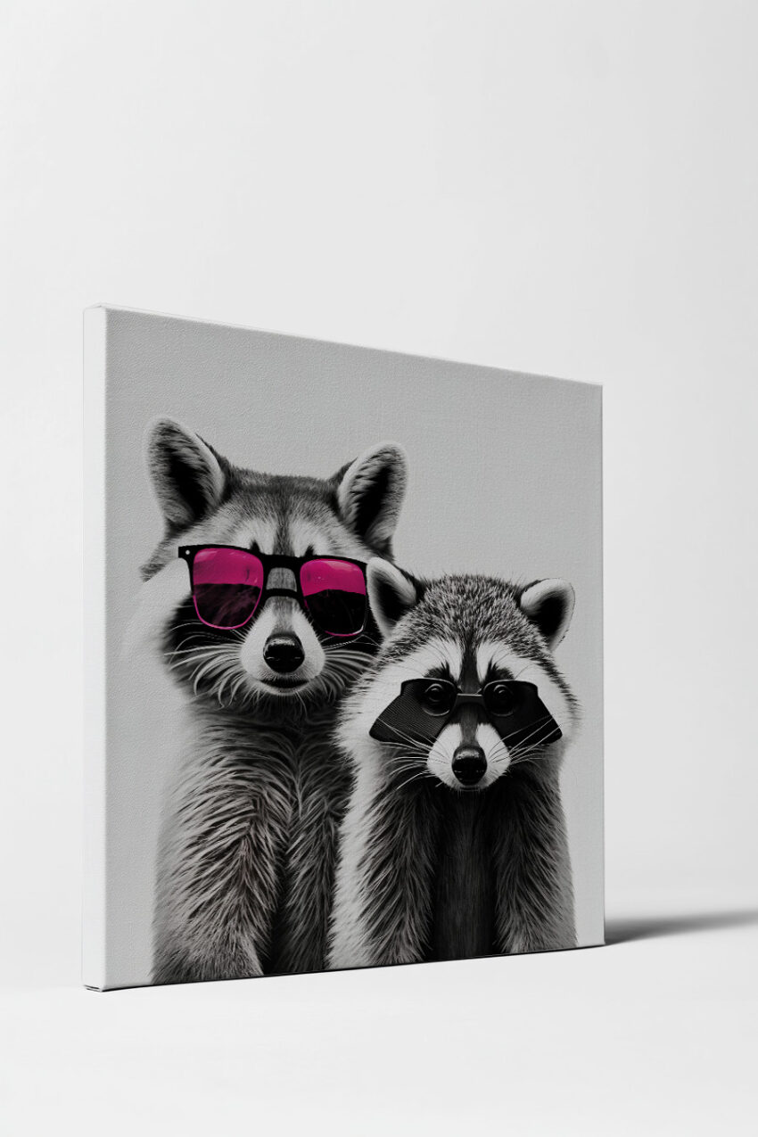 Fotografie Poster Waschbären Sonnenbrille schwarz-weiß