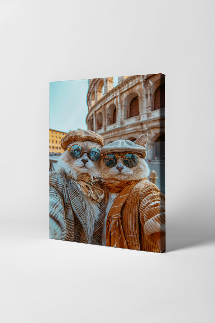 Fotografie Poster Katzen Sonnenbrille Hüte Mode