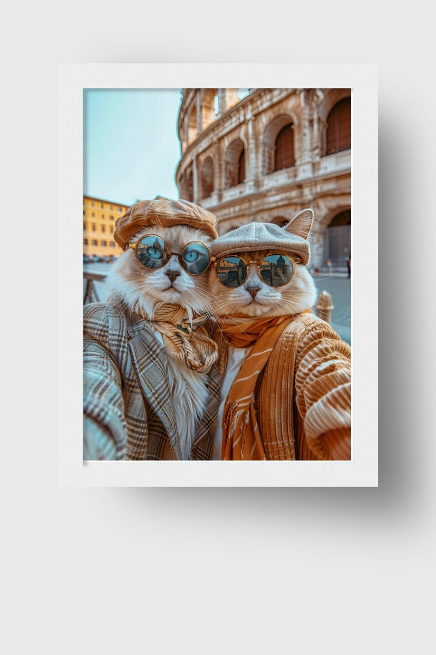 Fotografie Poster Katzen Sonnenbrille Hüte Mode