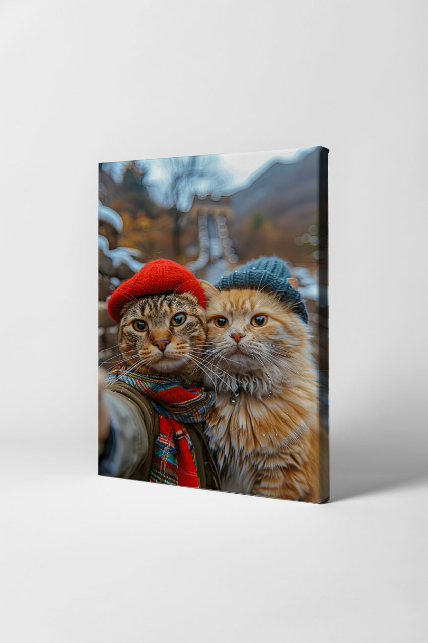 Fotografie Poster Katzen zwei Porträt Mützen rot blau