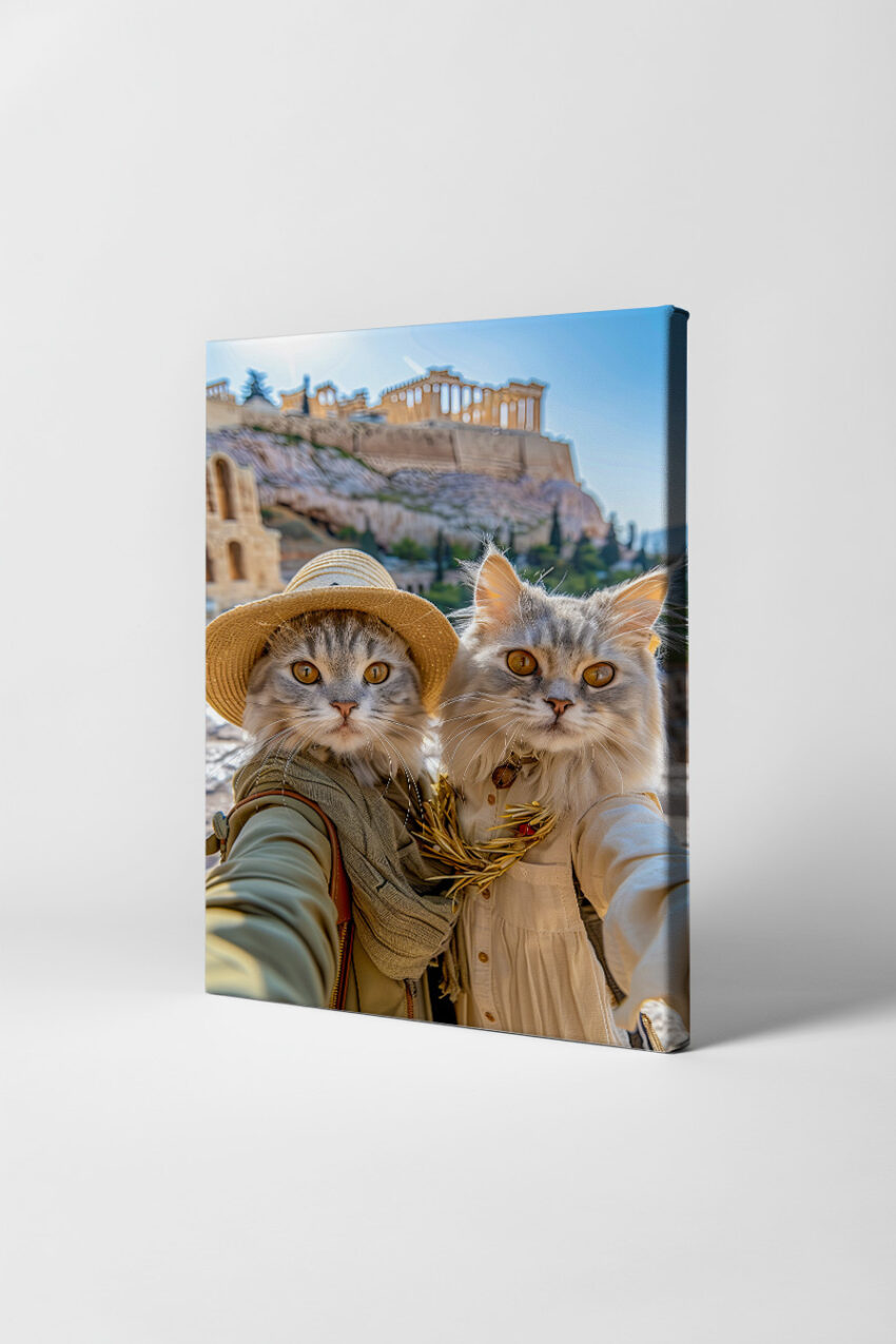 Fotografie Poster Katzen Akropolis Athen Sonnenlicht