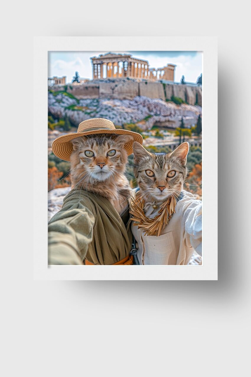 Fotografie Poster Katzen Akropolis Porträt Urlaub