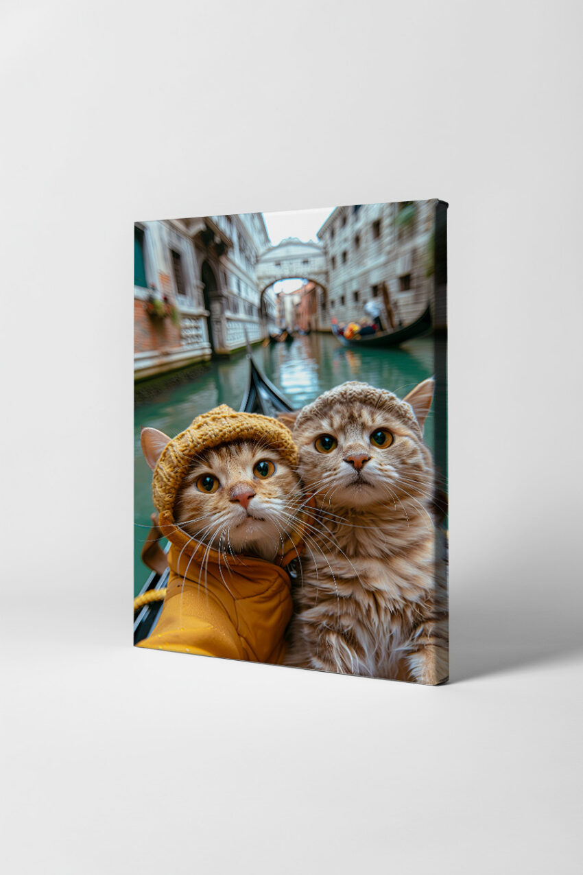 Fotografie Poster Katzen Gondel Venedig Kanal