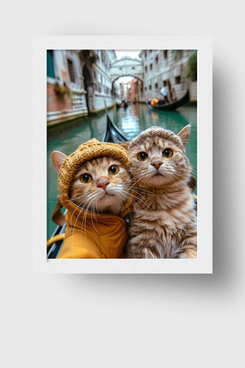 Fotografie Poster Katzen Gondel Venedig Kanal