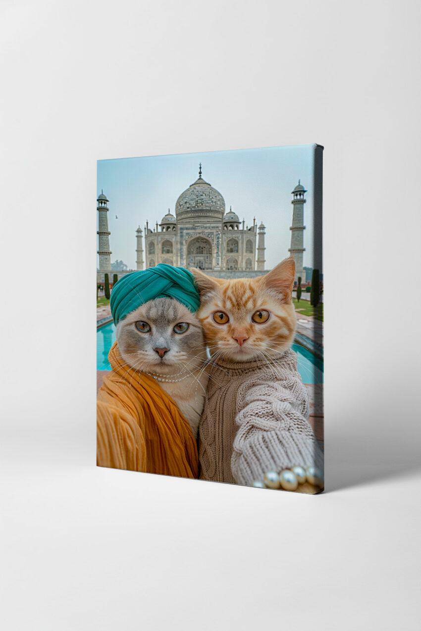 Fotografie Poster Katzen Taj Mahal Porträt Indien