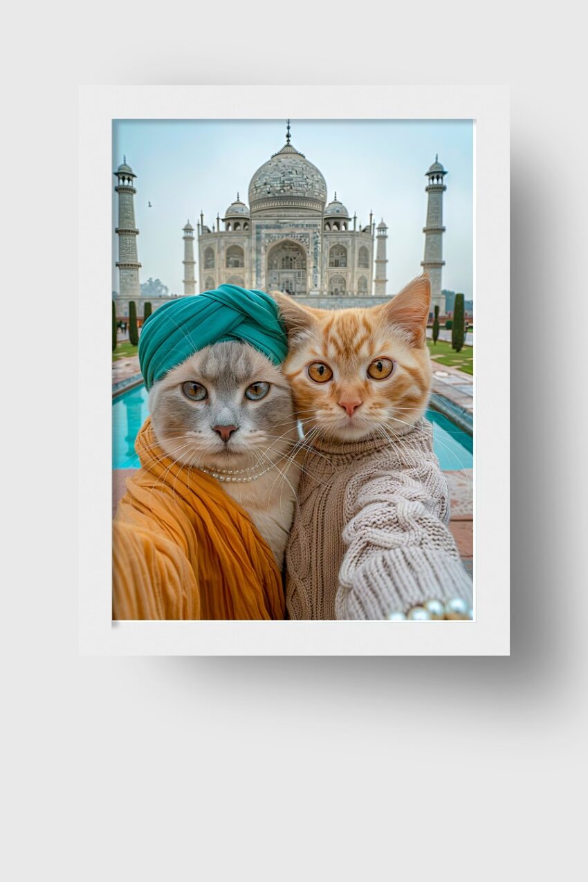 Fotografie Poster Katzen Taj Mahal Porträt Indien