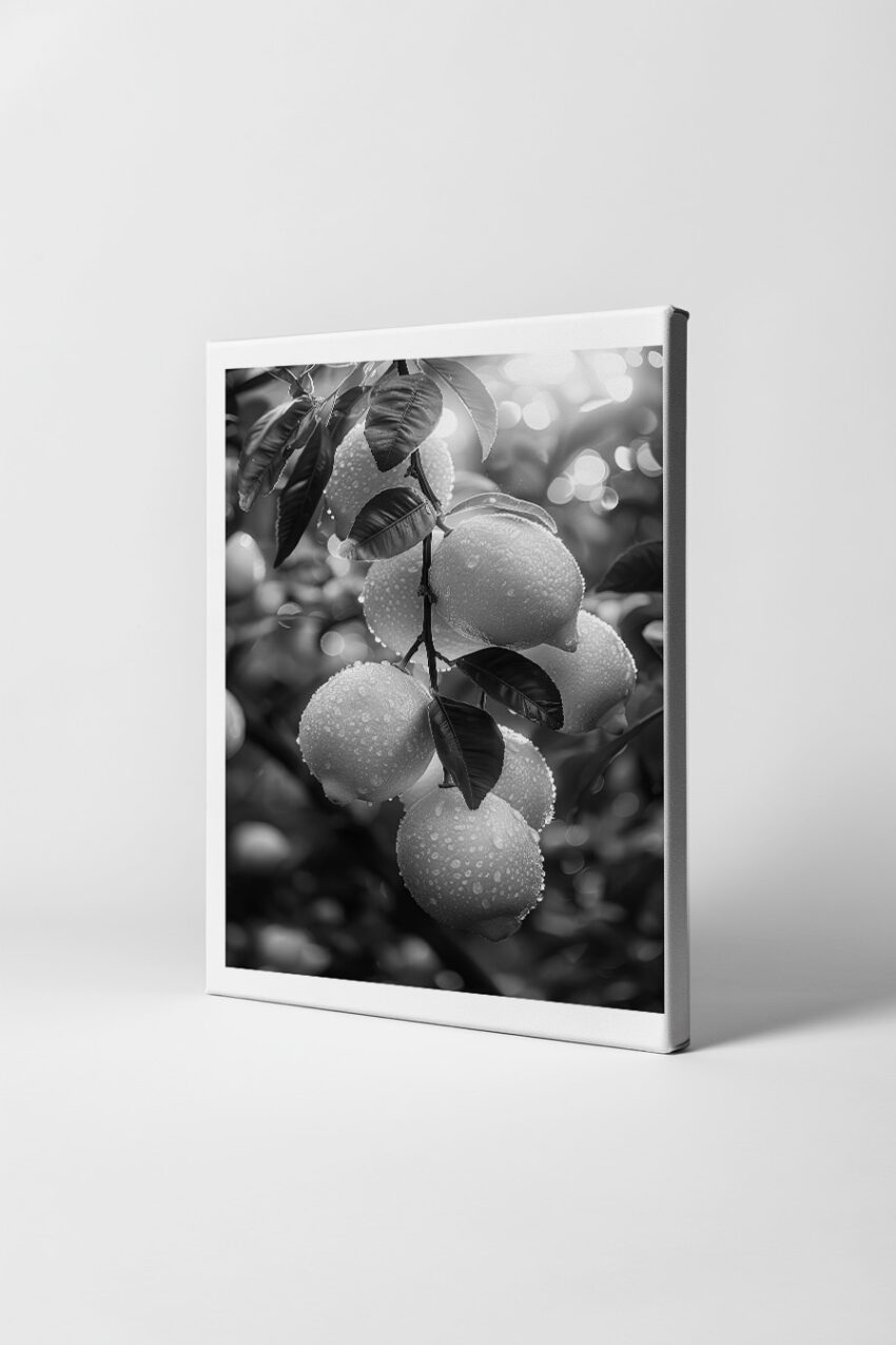 Fotografie Poster Zitronenzweig Schwarz-Weiß Tautropfen