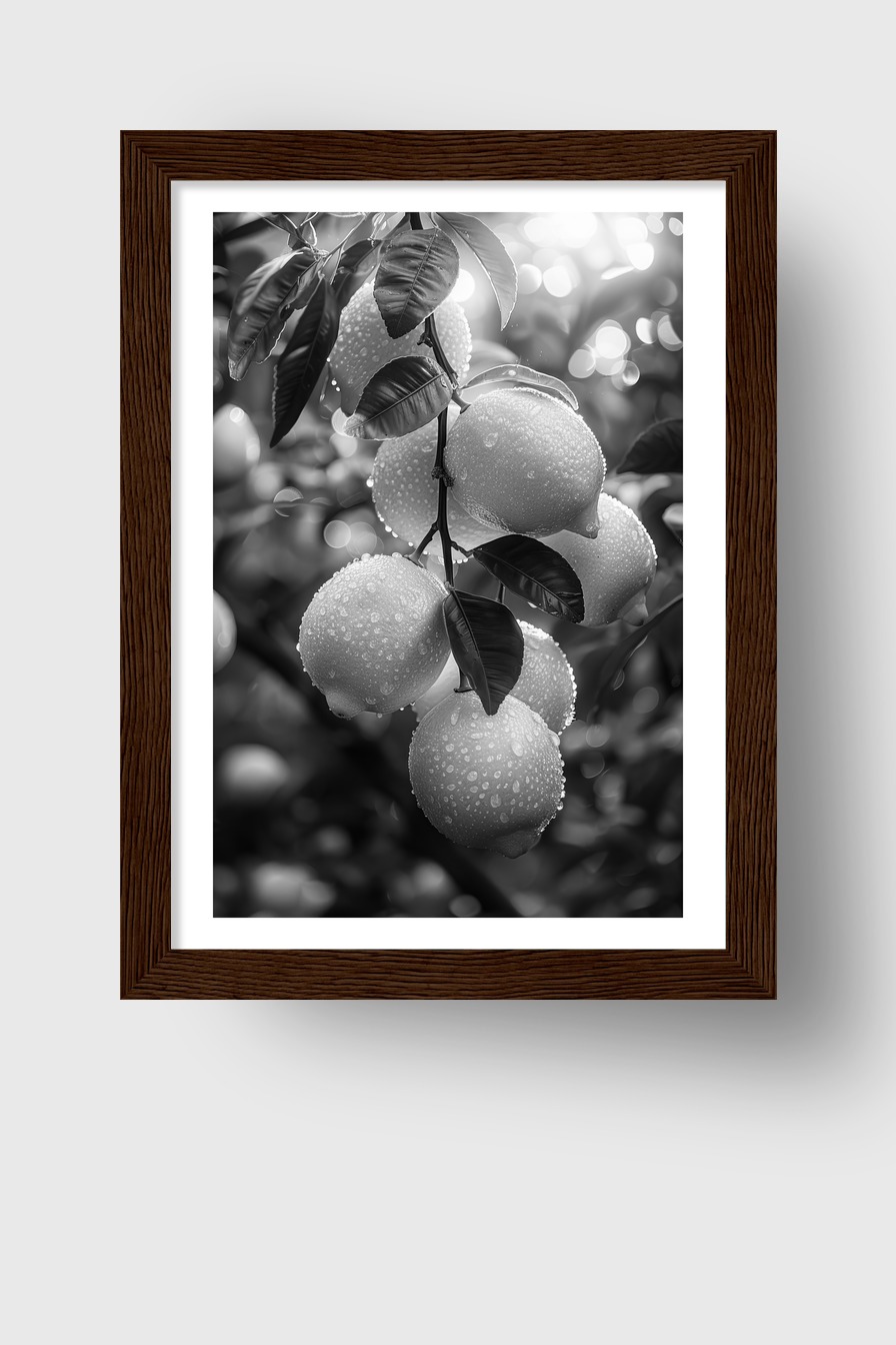 Fotografie Poster Zitronenzweig Schwarz-Weiß Tautropfen