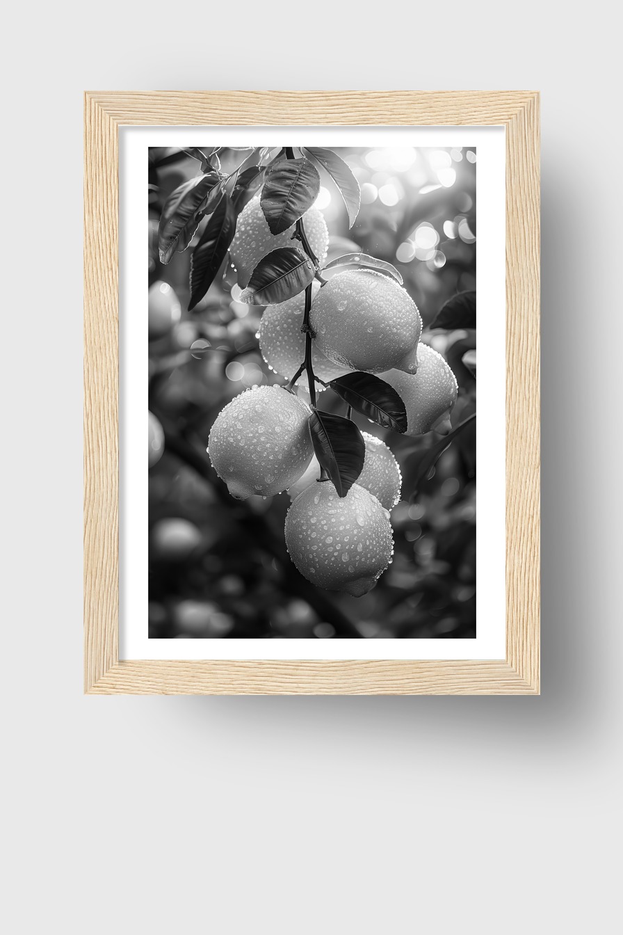 Fotografie Poster Zitronenzweig Schwarz-Weiß Tautropfen