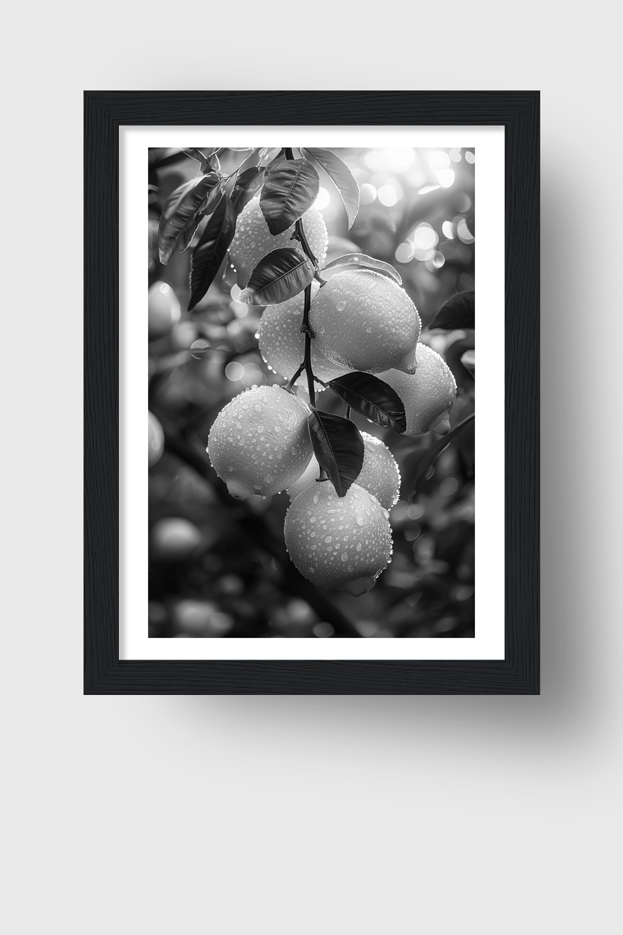 Fotografie Poster Zitronenzweig Schwarz-Weiß Tautropfen