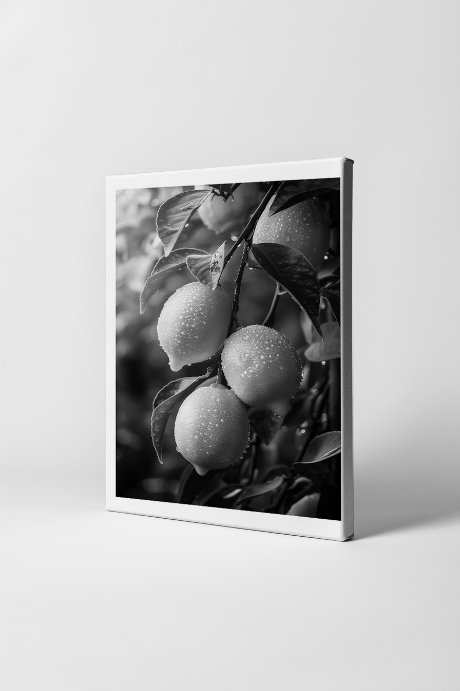 Fotografie Poster Zitronenzweig schwarz-weiß