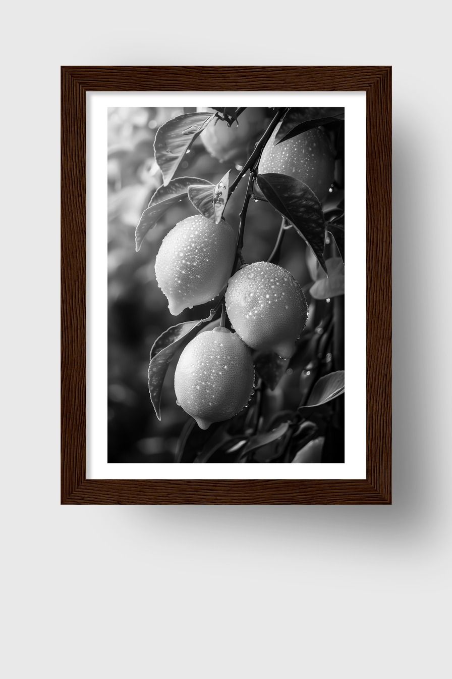 Fotografie Poster Zitronenzweig schwarz-weiß