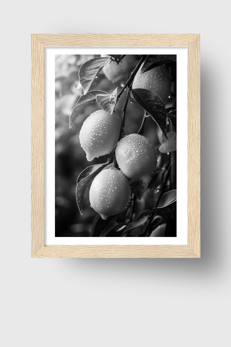 Fotografie Poster Zitronenzweig schwarz-weiß