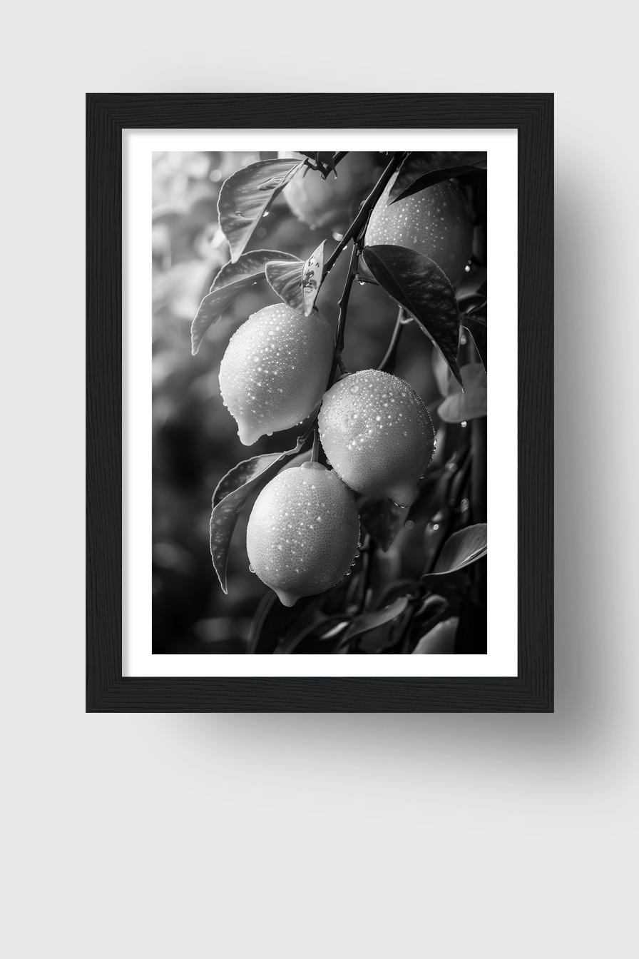 Fotografie Poster Zitronenzweig schwarz-weiß