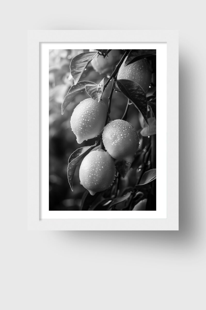 Fotografie Poster Zitronenzweig schwarz-weiß