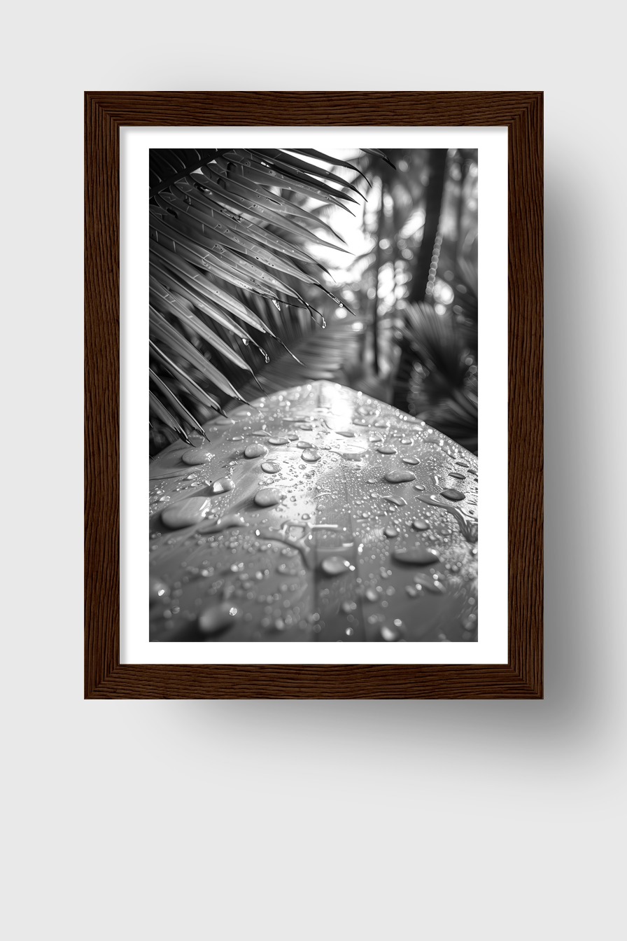 Fotografie Poster Bananenblatt Wassertropfen schwarzweiß