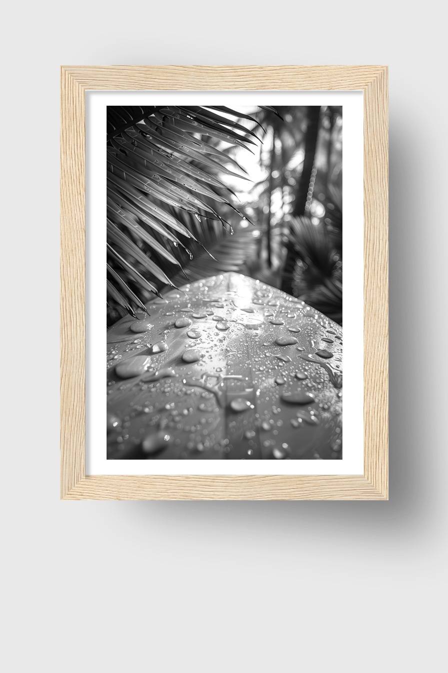 Fotografie Poster Bananenblatt Wassertropfen schwarzweiß