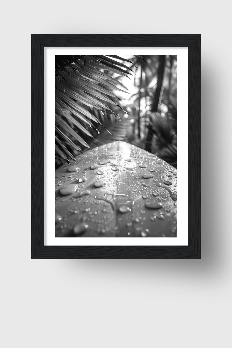 Fotografie Poster Bananenblatt Wassertropfen schwarzweiß