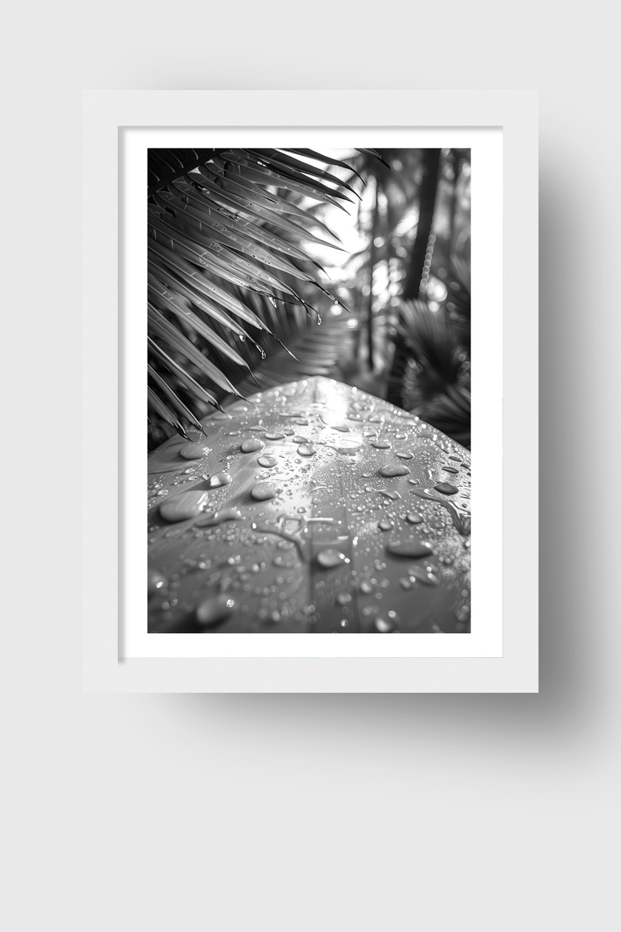 Fotografie Poster Bananenblatt Wassertropfen schwarzweiß