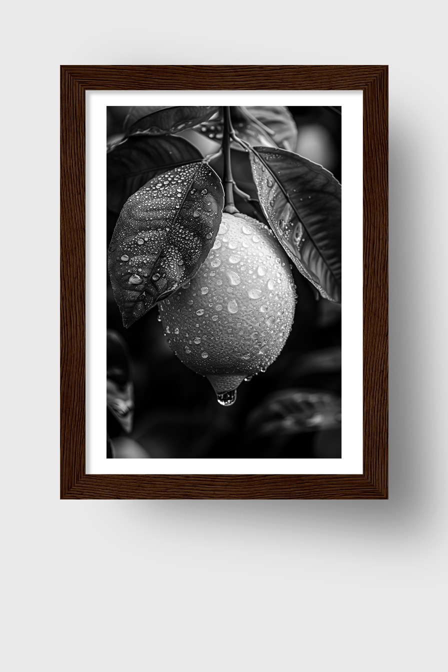 Fotografie Poster Zitrone nass schwarz-weiß