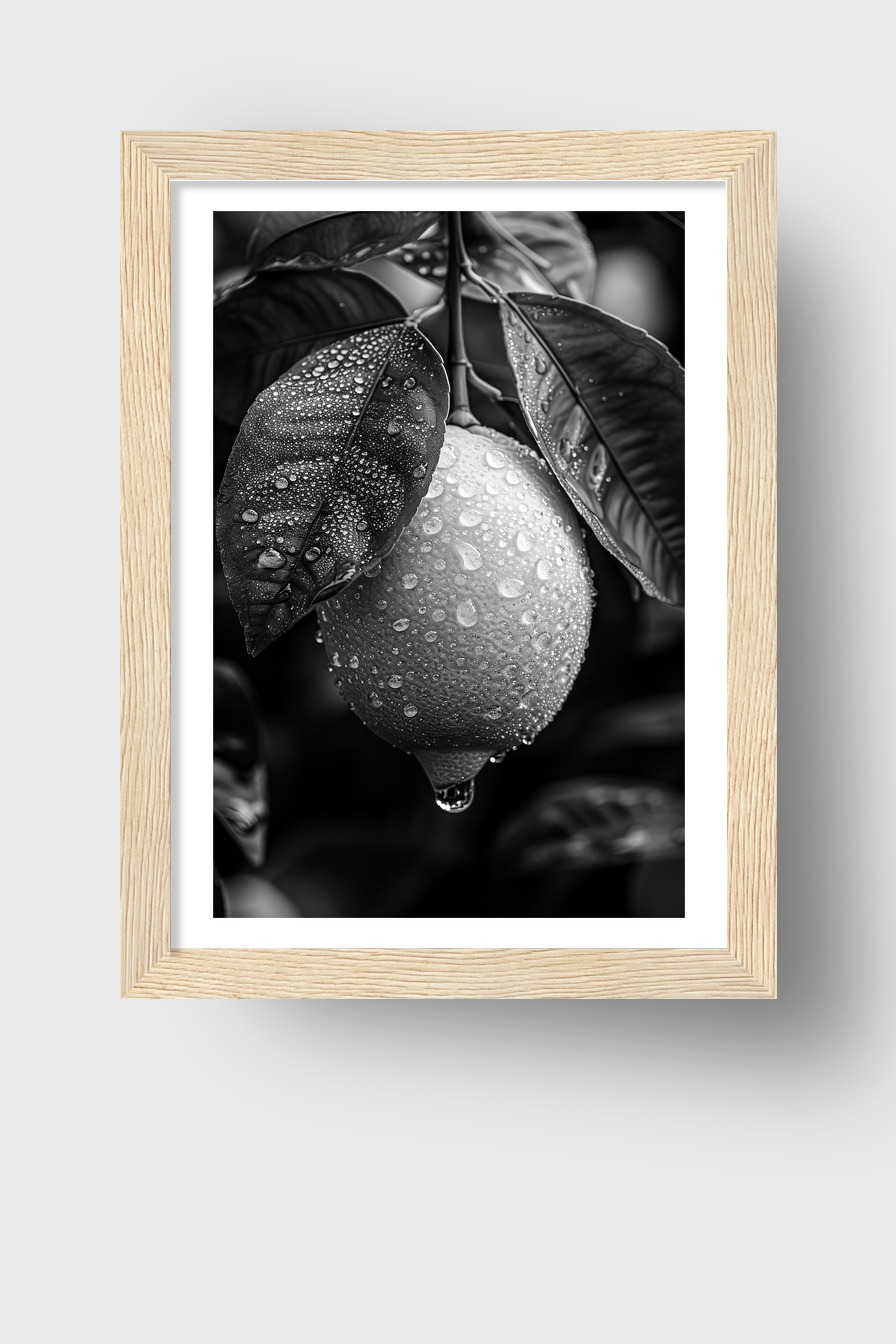 Fotografie Poster Zitrone nass schwarz-weiß