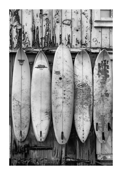 Surfbretter Reihe Leinwandbild