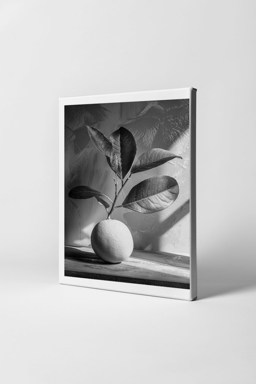 Fotografie Poster Zitrone Zweig schwarz-weiß monochrom