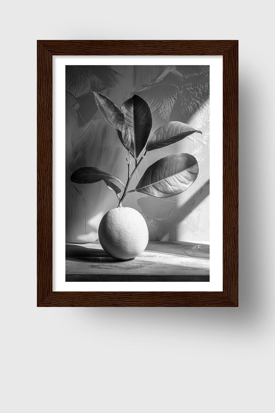 Fotografie Poster Zitrone Zweig schwarz-weiß monochrom