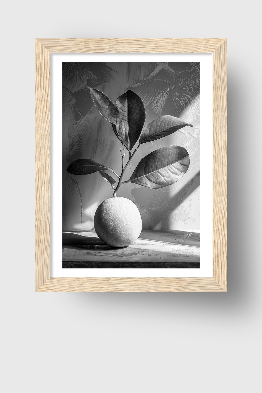 Fotografie Poster Zitrone Zweig schwarz-weiß monochrom