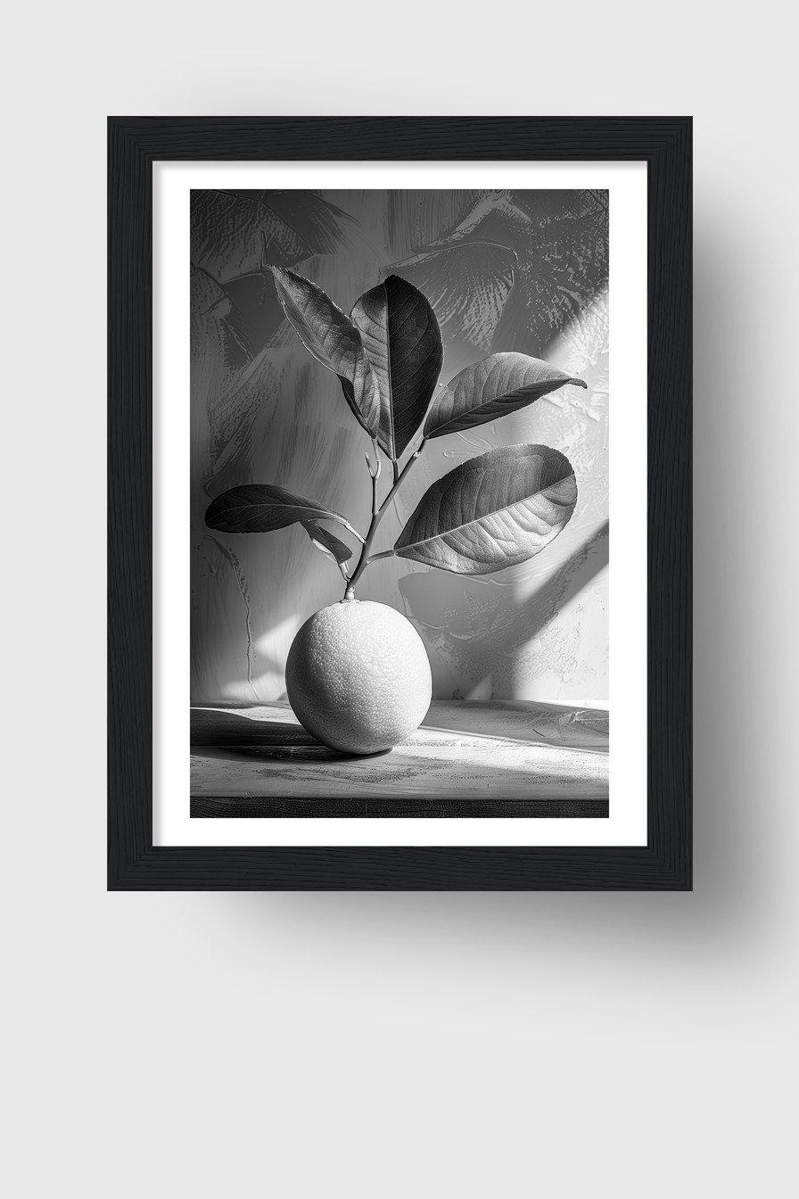 Fotografie Poster Zitrone Zweig schwarz-weiß monochrom