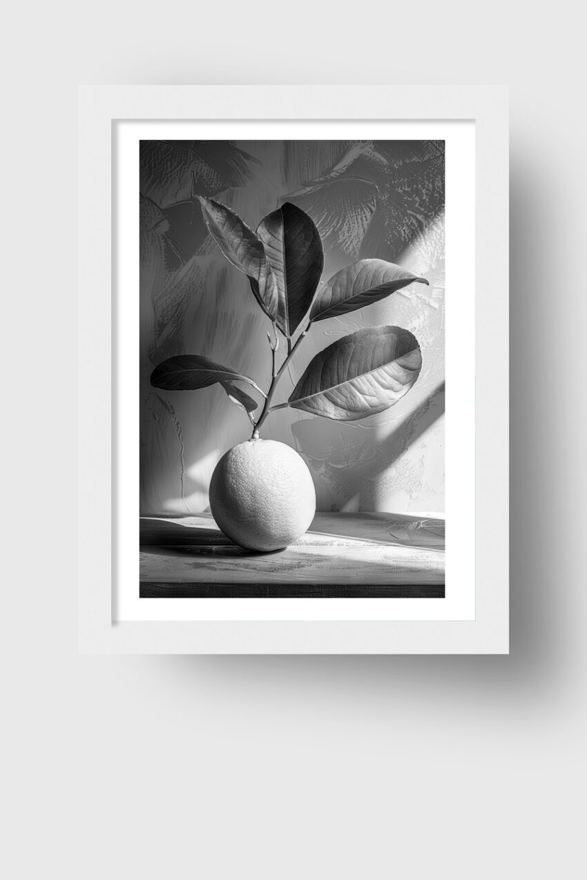 Fotografie Poster Zitrone Zweig schwarz-weiß monochrom