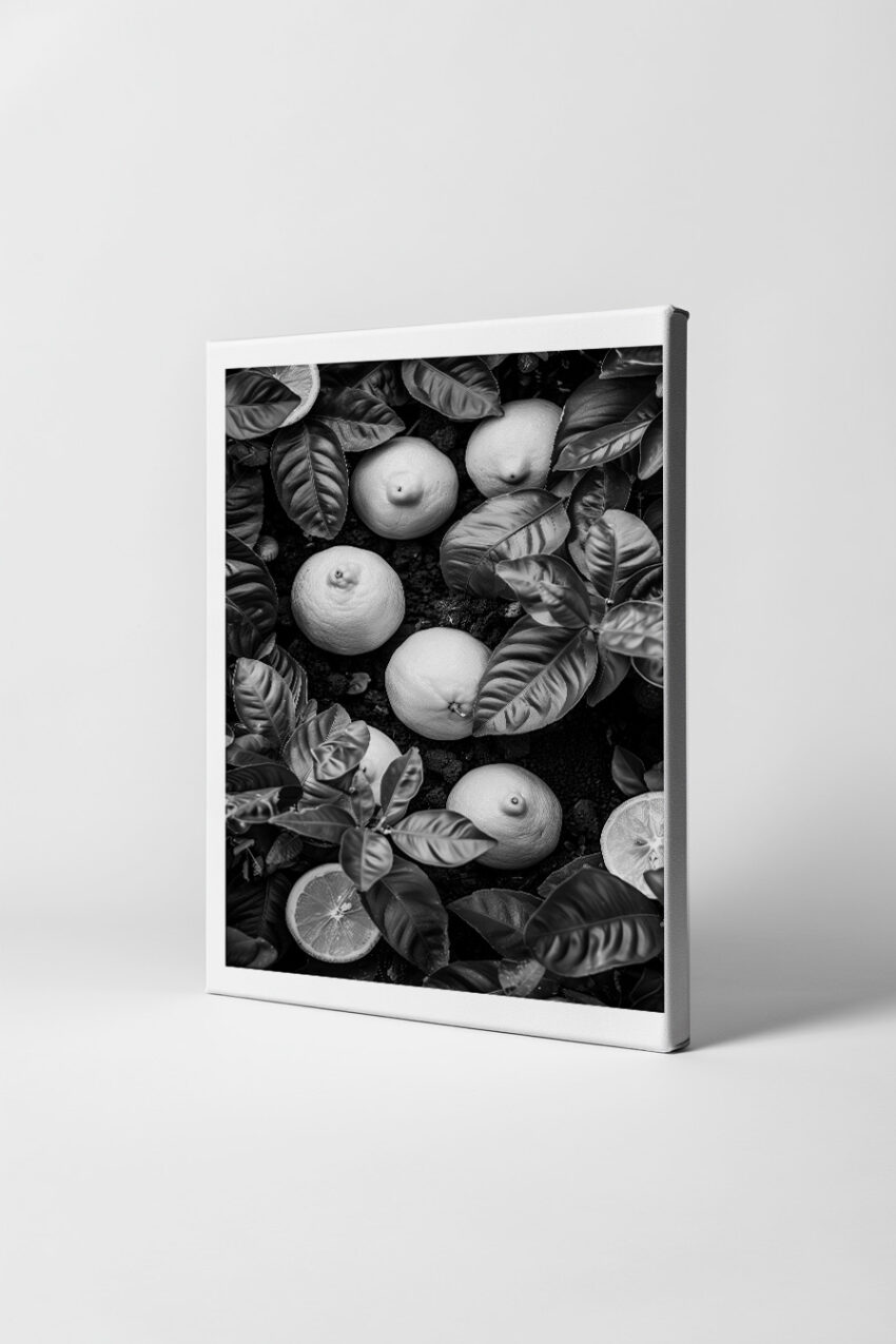 Fotografie Poster Zitrone schwarz-weiß Botanik minimalistisch