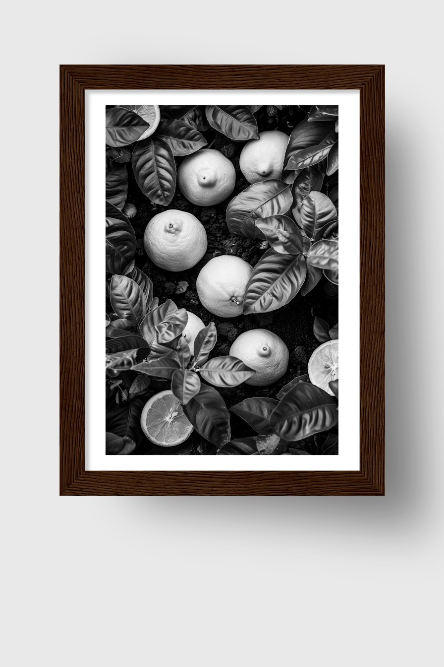Fotografie Poster Zitrone schwarz-weiß Botanik minimalistisch