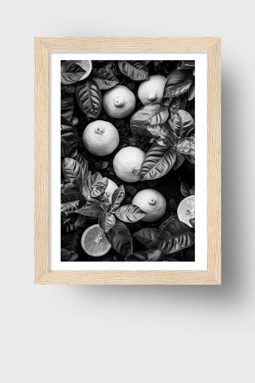 Fotografie Poster Zitrone schwarz-weiß Botanik minimalistisch