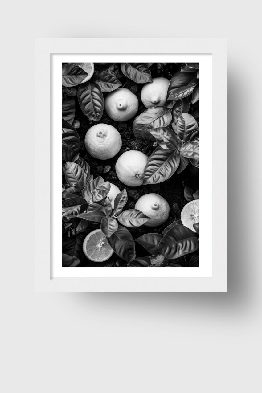 Fotografie Poster Zitrone schwarz-weiß Botanik minimalistisch