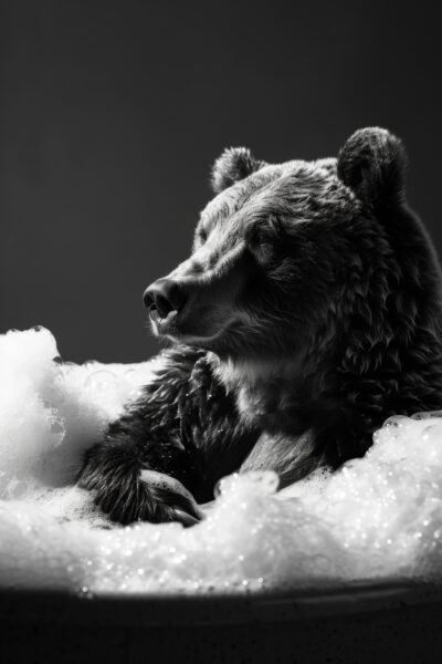 Bär im Schaumbad Leinwandbild