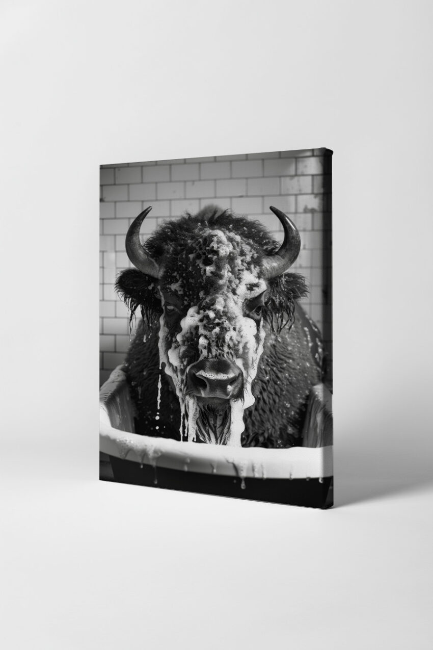Fotografie Poster Bison Badewanne schwarz-weiß frontal