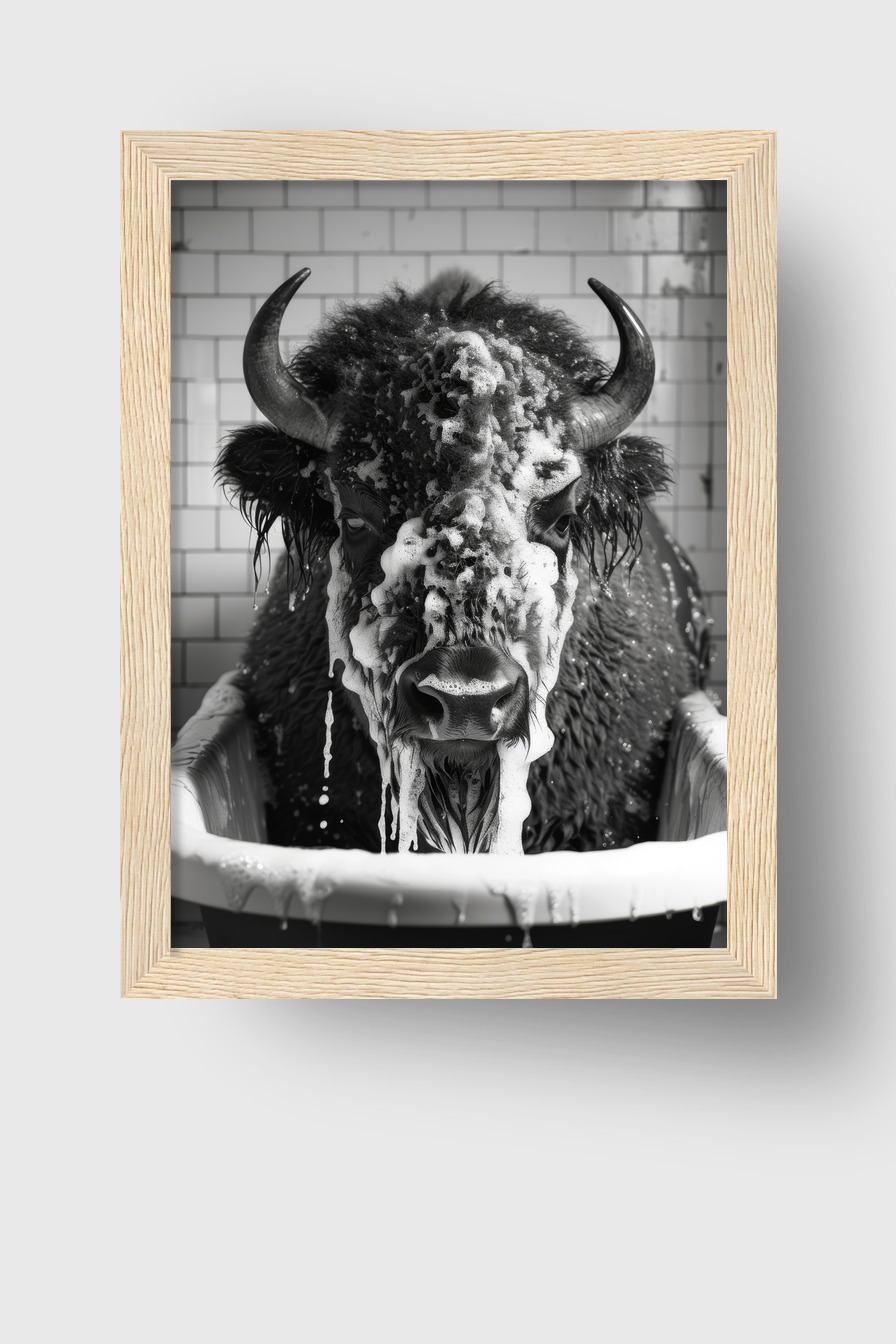 Fotografie Poster Bison Badewanne schwarz-weiß frontal