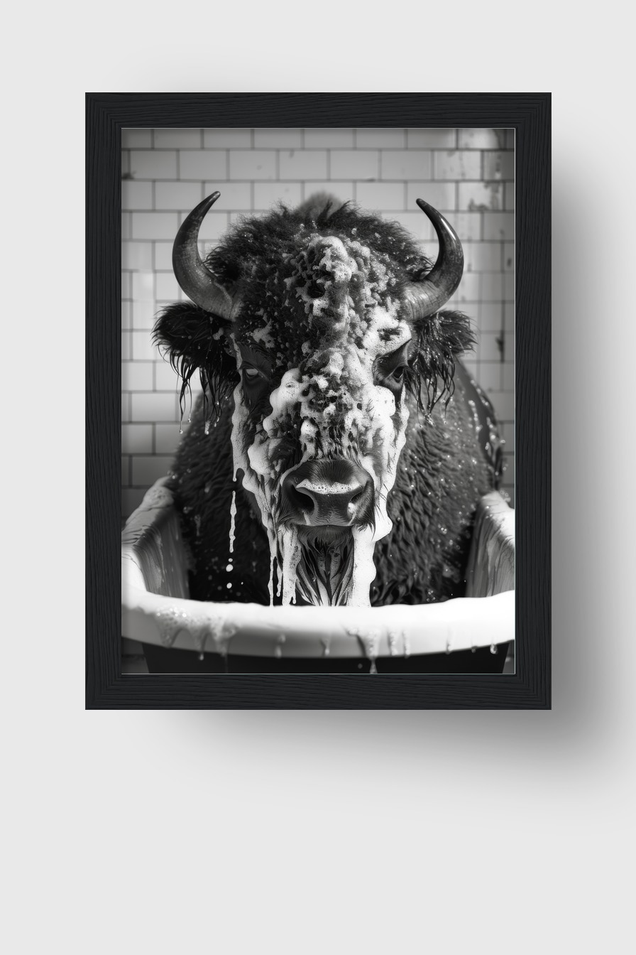 Fotografie Poster Bison Badewanne schwarz-weiß frontal