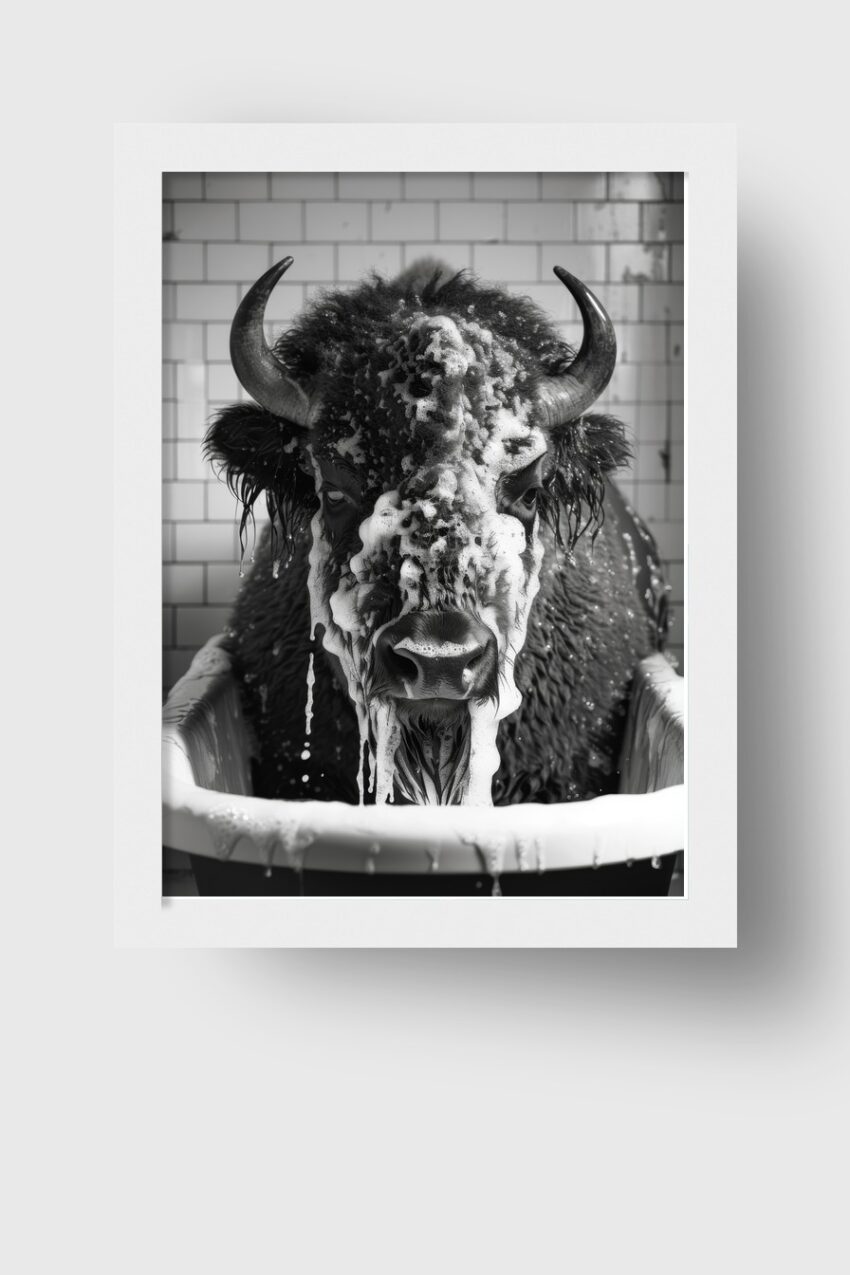 Fotografie Poster Bison Badewanne schwarz-weiß frontal