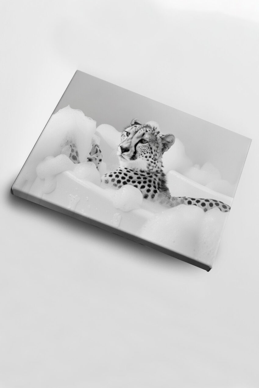 Fotografie Poster Gepard Badewanne schwarz-weiß