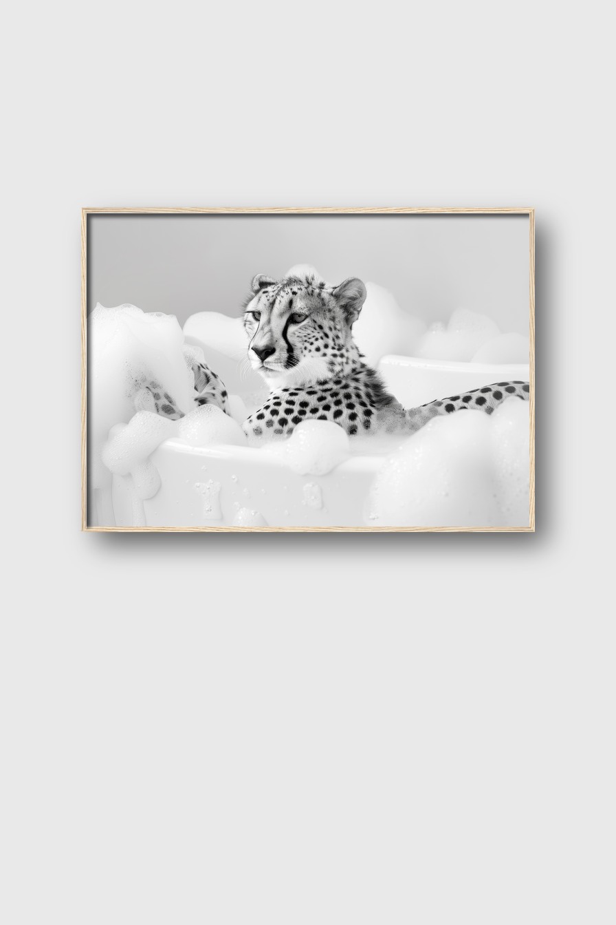 Fotografie Poster Gepard Badewanne schwarz-weiß