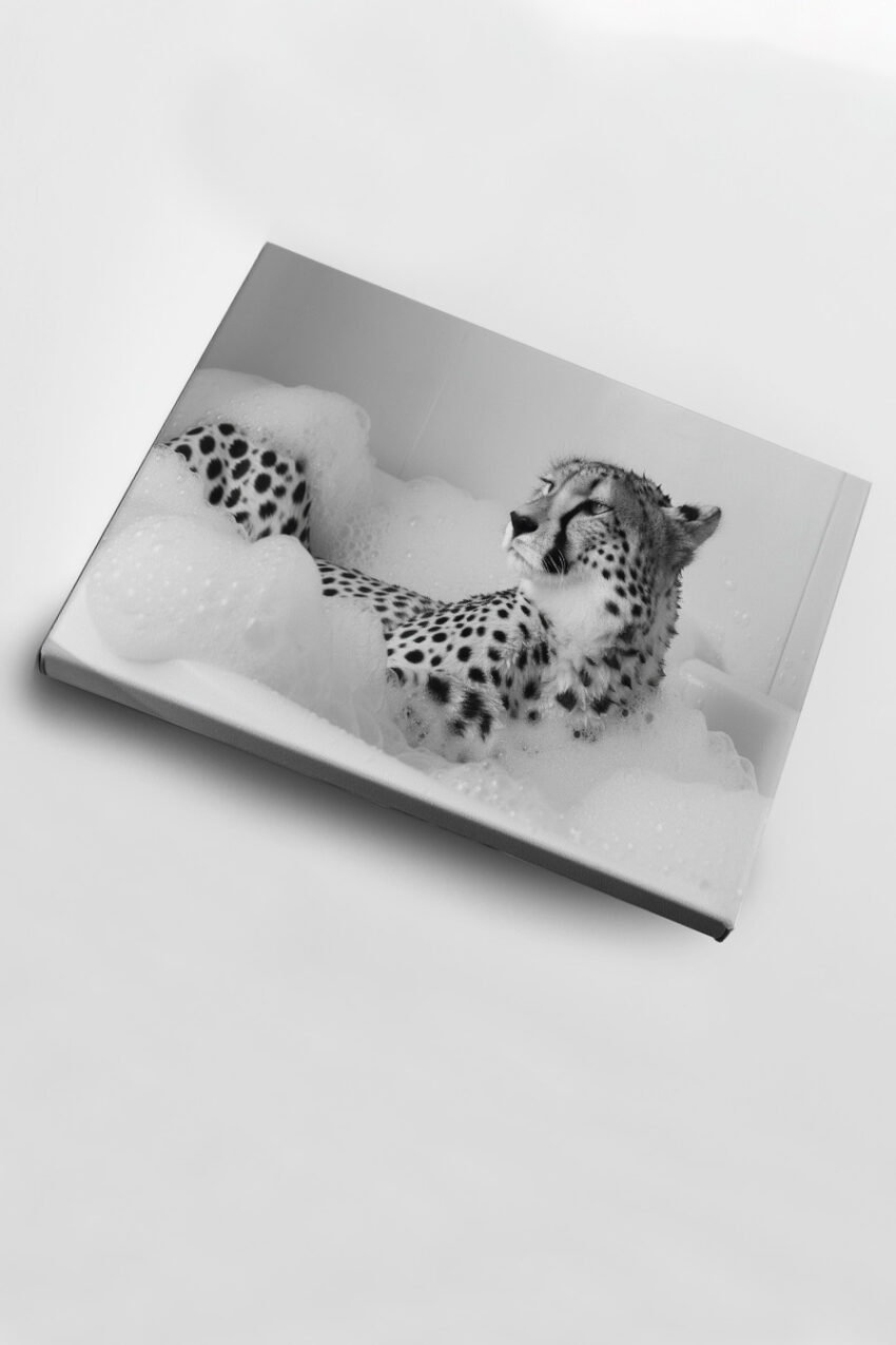 Fotografie Poster Gepard Badewanne schwarz-weiß