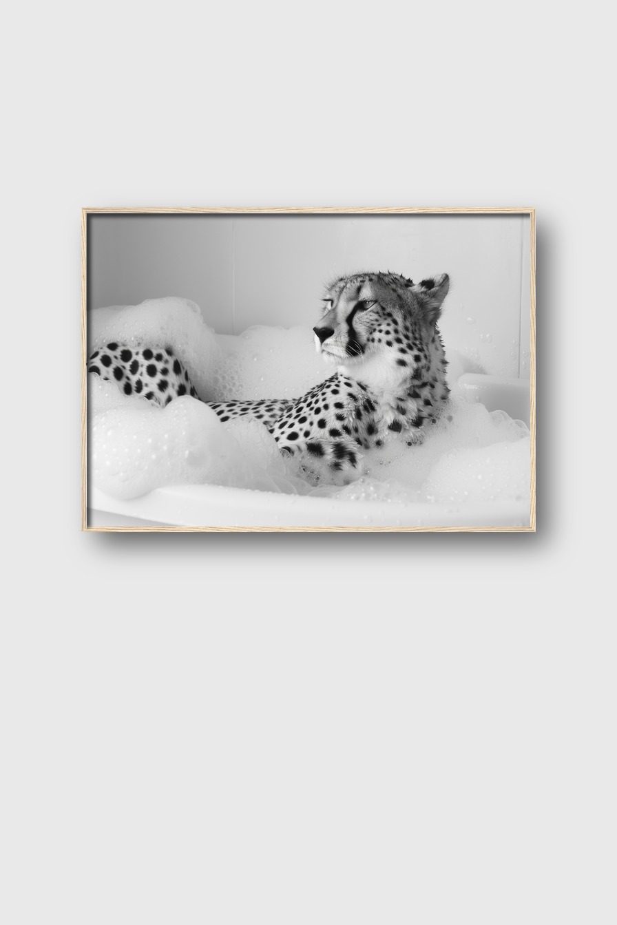 Fotografie Poster Gepard Badewanne schwarz-weiß