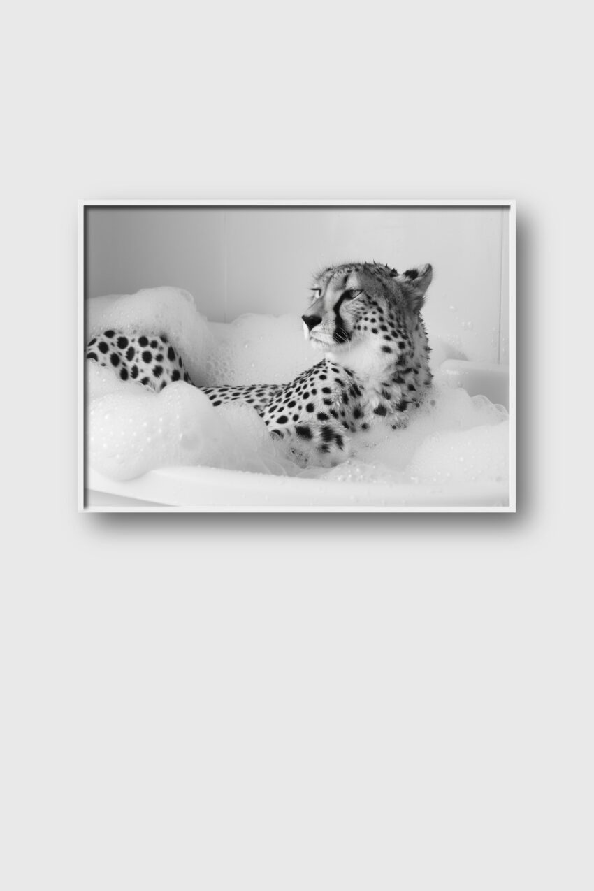 Fotografie Poster Gepard Badewanne schwarz-weiß
